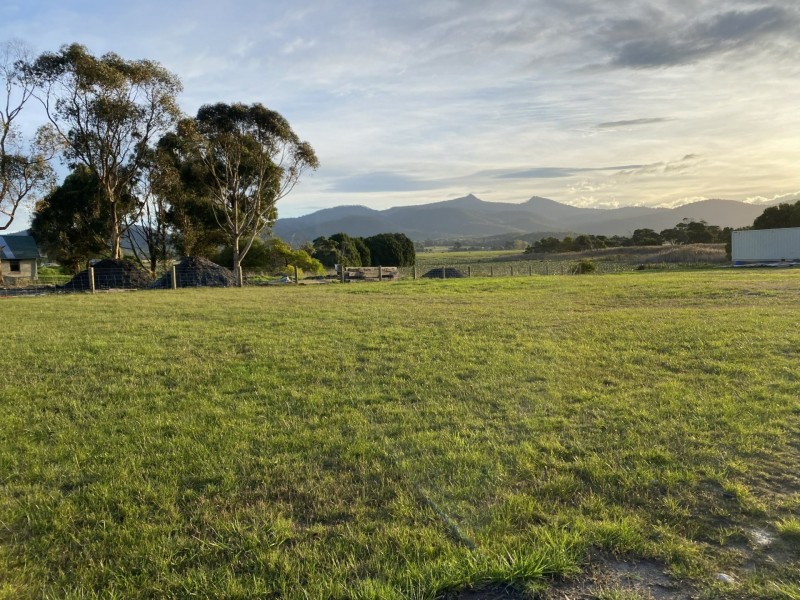 75 Grant Street, Falmouth TAS 7215