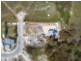 48 Freshwater Street, Beaumaris TAS 7215