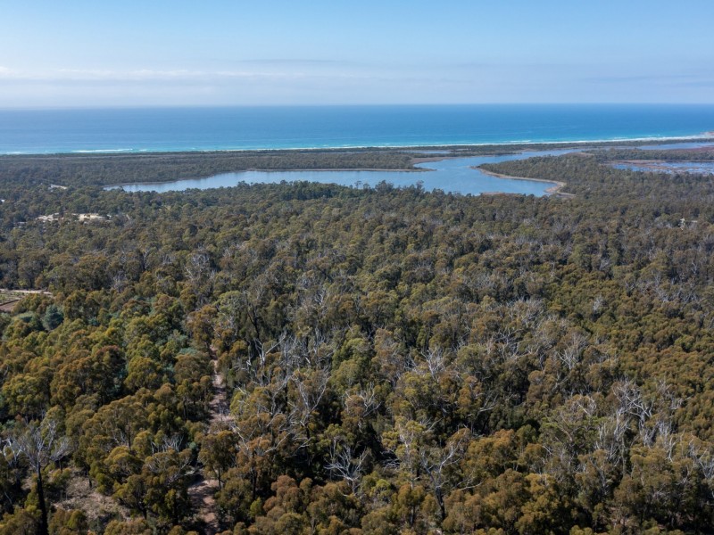 26754/5 Tasman Highway, Scamander TAS 7215
