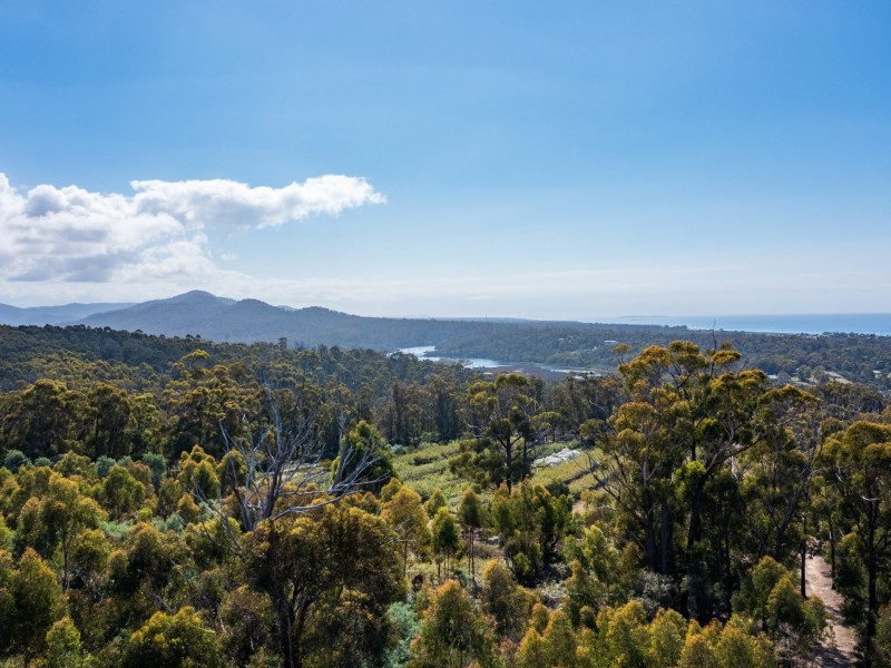26754/5 Tasman Highway, Scamander TAS 7215