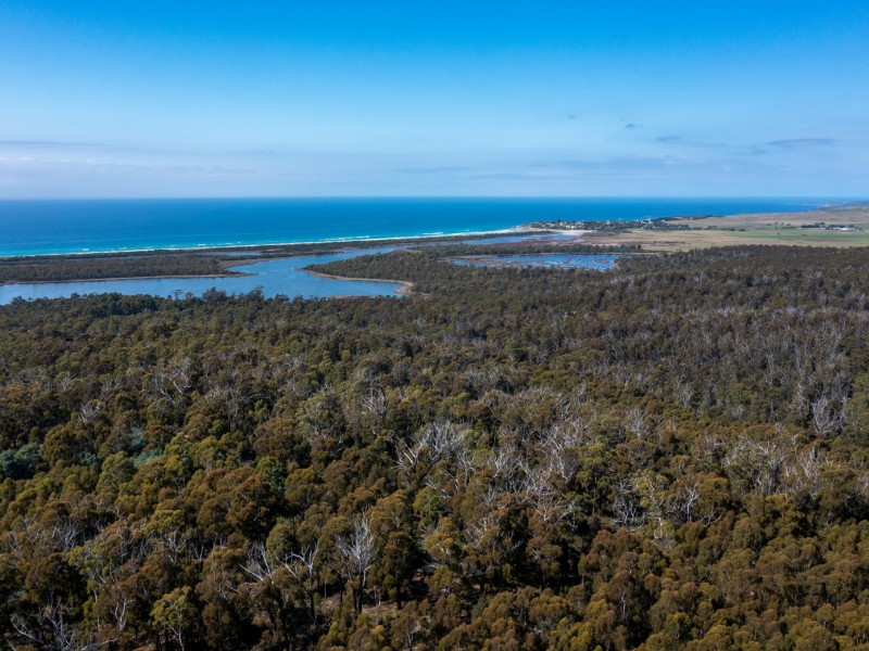 26754/5 Tasman Highway, Scamander TAS 7215