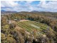 26754/5 Tasman Highway, Scamander TAS 7215