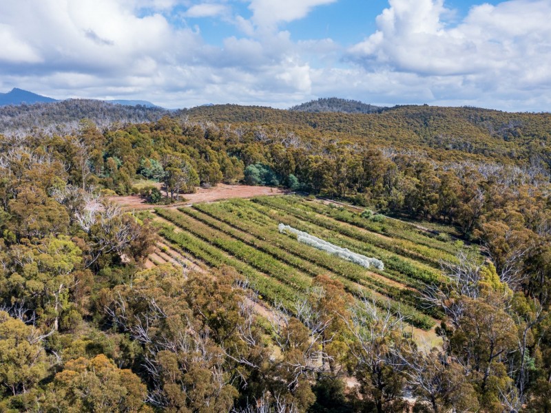 26754/5 Tasman Highway, Scamander TAS 7215
