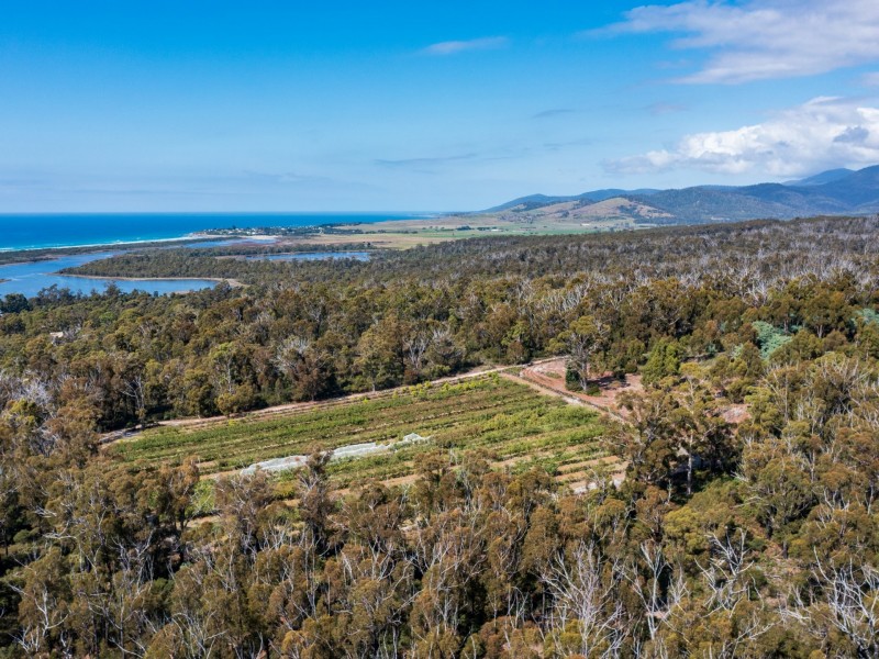 26754/5 Tasman Highway, Scamander TAS 7215
