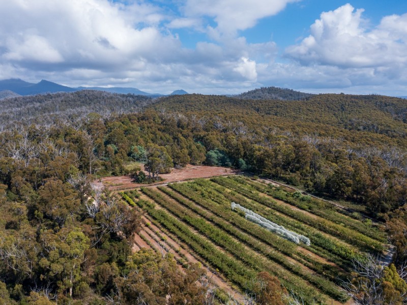 26754/5 Tasman Highway, Scamander TAS 7215