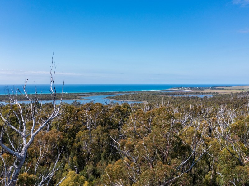 26754/5 Tasman Highway, Scamander TAS 7215
