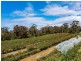26754/5 Tasman Highway, Scamander TAS 7215