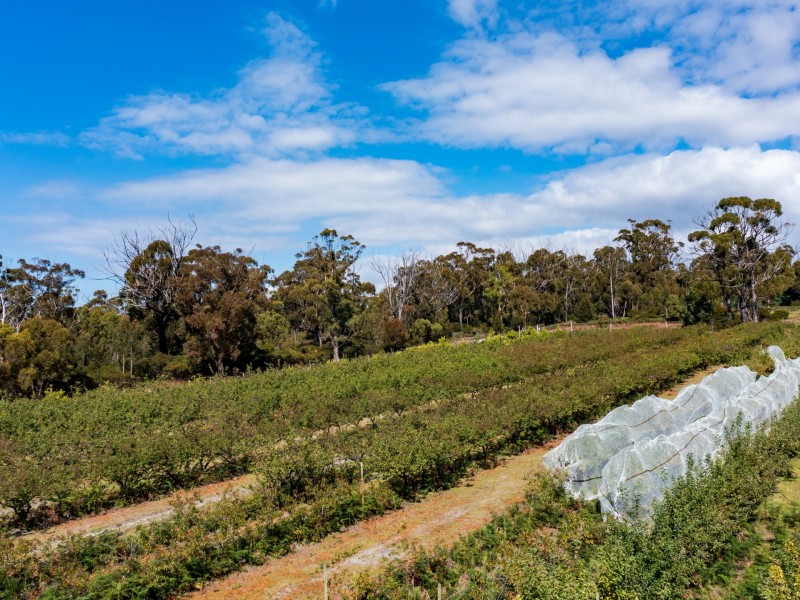 26754/5 Tasman Highway, Scamander TAS 7215