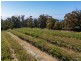 26754/5 Tasman Highway, Scamander TAS 7215