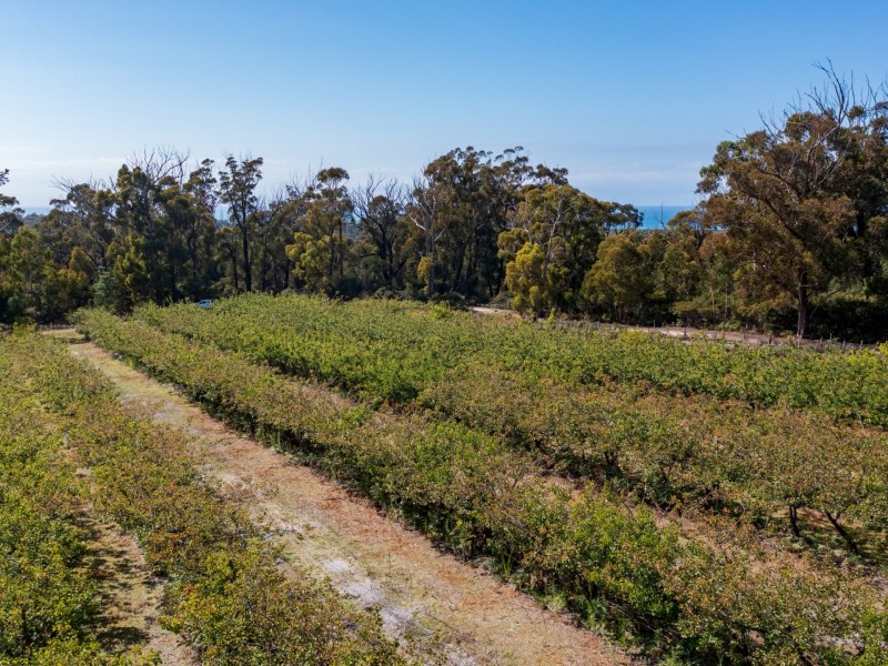 26754/5 Tasman Highway, Scamander TAS 7215