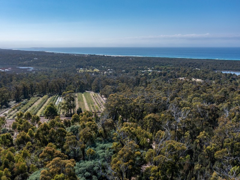 26754/5 Tasman Highway, Scamander TAS 7215