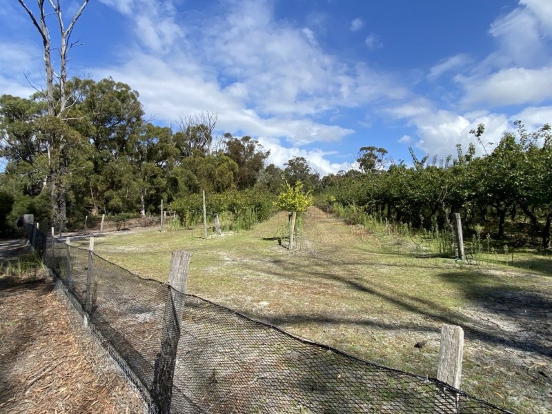 26754/5 Tasman Highway, Scamander TAS 7215