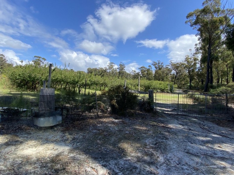 26754/5 Tasman Highway, Scamander TAS 7215
