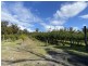 26754/5 Tasman Highway, Scamander TAS 7215