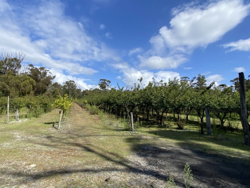 26754/5 Tasman Highway, Scamander TAS 7215