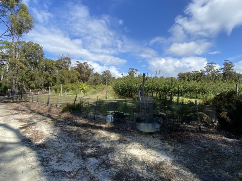 26754/5 Tasman Highway, Scamander TAS 7215