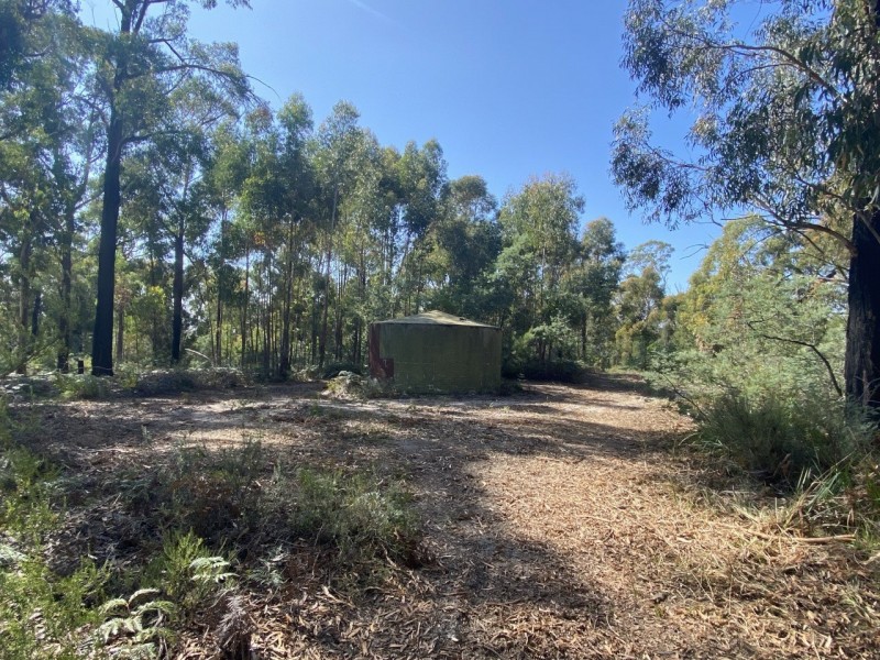 26754/5 Tasman Highway, Scamander TAS 7215