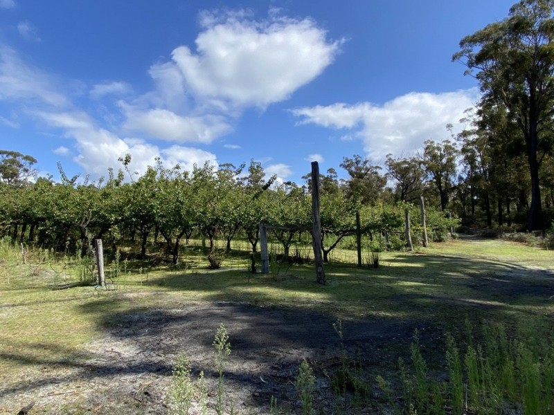 26754/5 Tasman Highway, Scamander TAS 7215