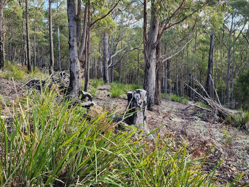 101 German Town Road, St Marys TAS 7215