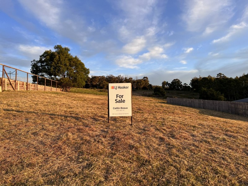 11 Susan Court, St Helens TAS 7216