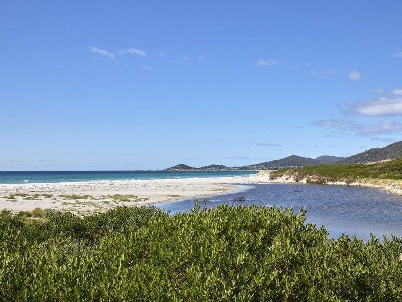 18482 Tasman Highway, Douglas River TAS 7215