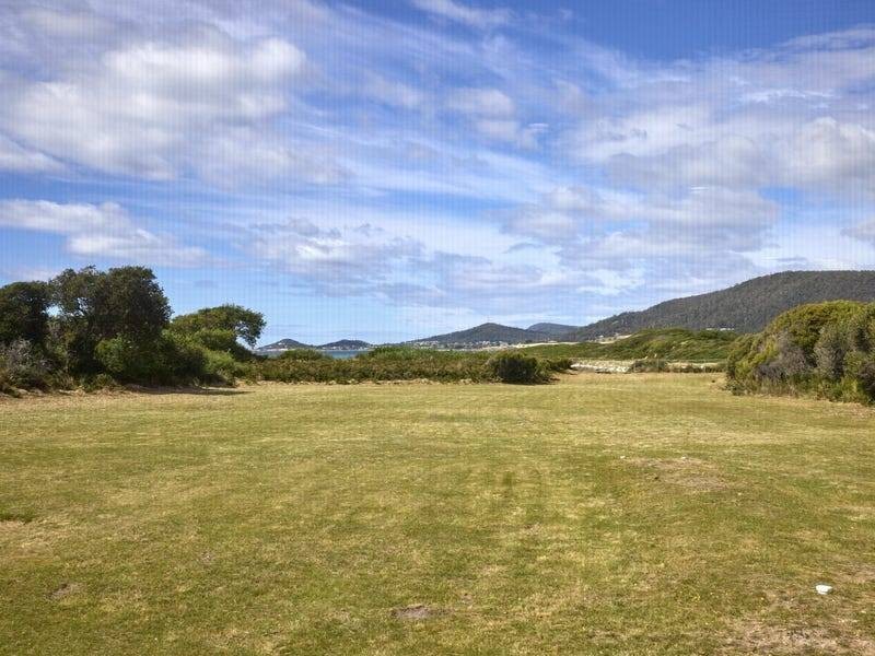 18482 Tasman Highway, Douglas River TAS 7215