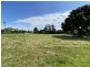 16 Quail Street, St Helens TAS 7216