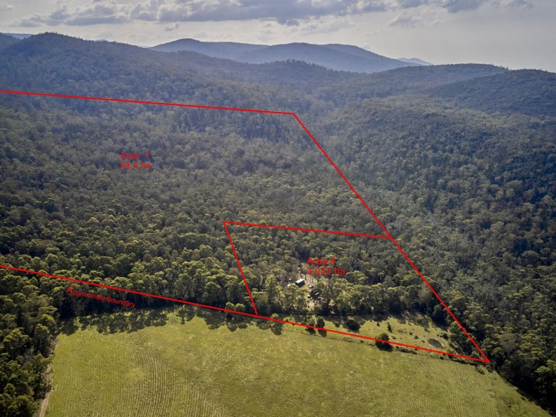 299 Rosedale Road, Bicheno TAS 7215