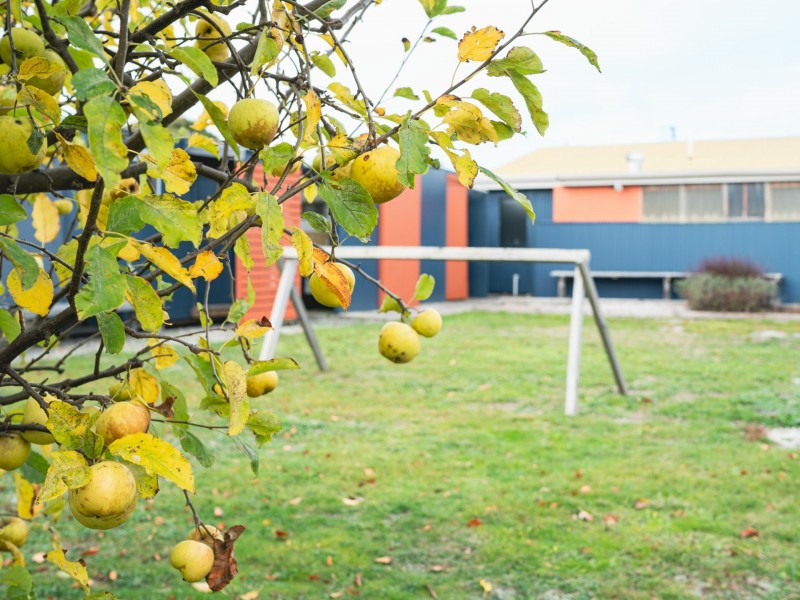 25 Peron Street, Stieglitz TAS 7216