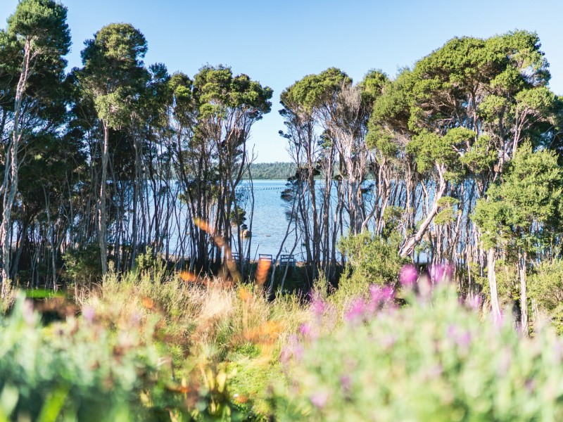 2/484 Binalong Bay Road, St Helens TAS 7216