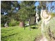 31 Lawry Heights, St Helens TAS 7216