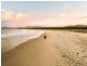 33 Upper Scamander Road, Scamander TAS 7215