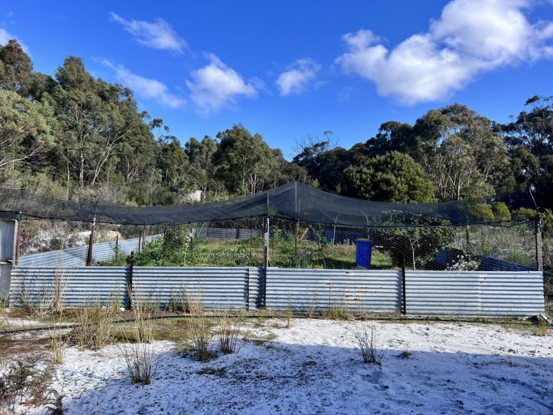 24752 Tasman Highway, St Helens TAS 7216
