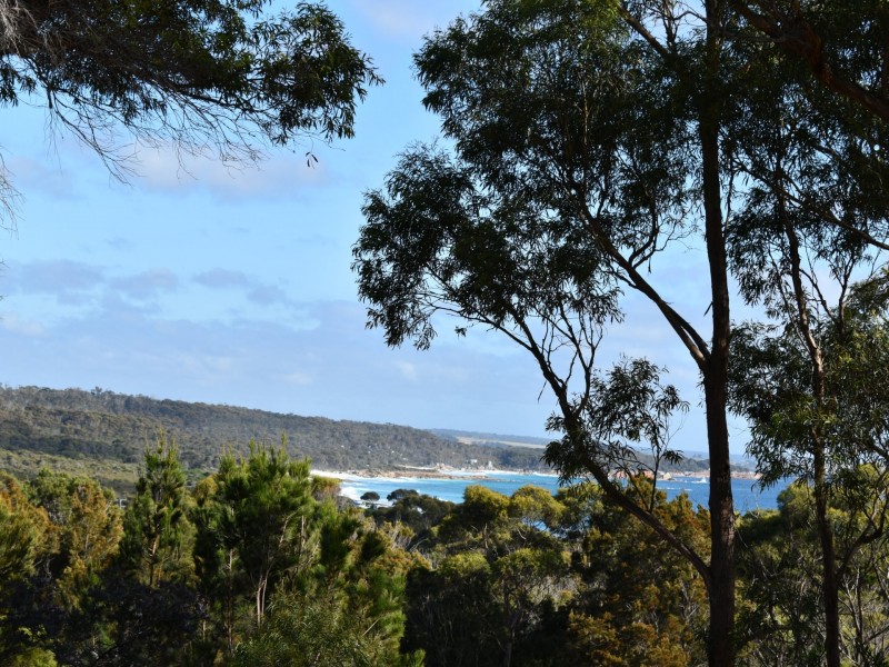 304 Gardens Road, Binalong Bay TAS 7216