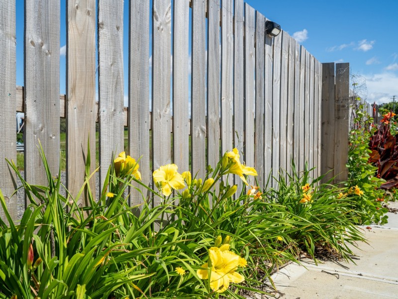 13 Annabel Drive, St Helens TAS 7216