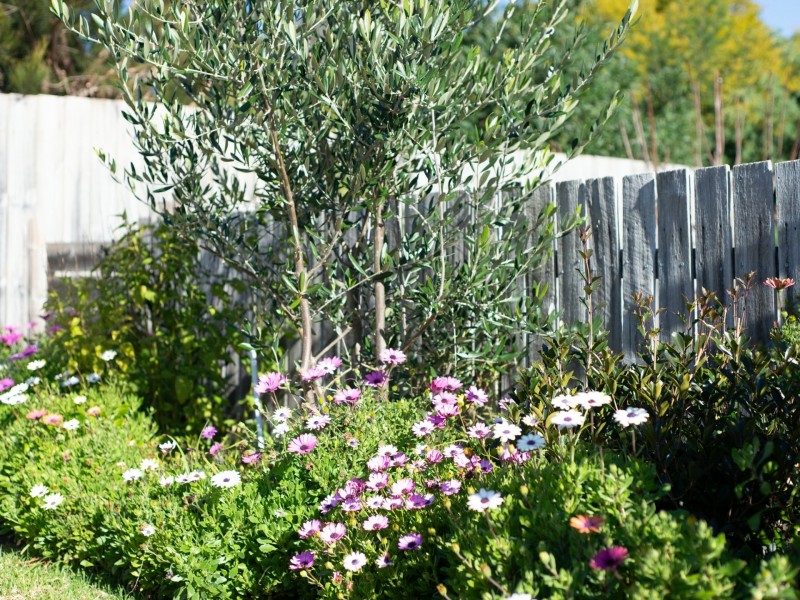 6 Osprey Drive, Stieglitz TAS 7216