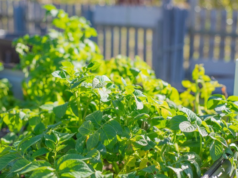 6 Osprey Drive, Stieglitz TAS 7216