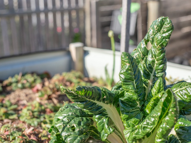 6 Osprey Drive, Stieglitz TAS 7216