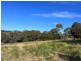 Lot 1 Oceanvista Drive, St Helens TAS 7216