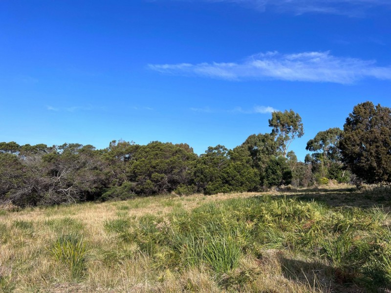 Lot 1 Oceanvista Drive, St Helens TAS 7216