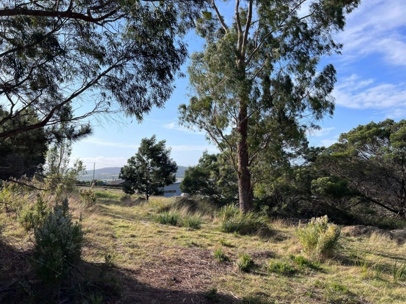 Lot 1 Oceanvista Drive, St Helens TAS 7216