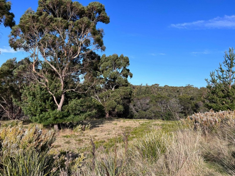Lot 2 Oceanvista Drive, St Helens TAS 7216