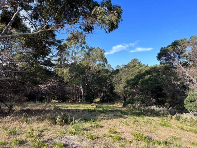 Lot 2 Oceanvista Drive, St Helens TAS 7216