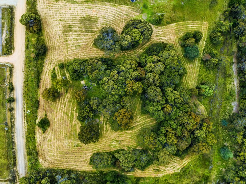 Lot 2 Oceanvista Drive, St Helens TAS 7216