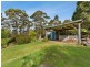 37 Dalmayne Road, Gray TAS 7215