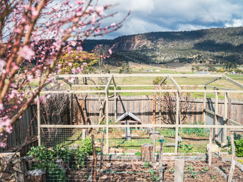 26 Albert Street, Fingal TAS 7214