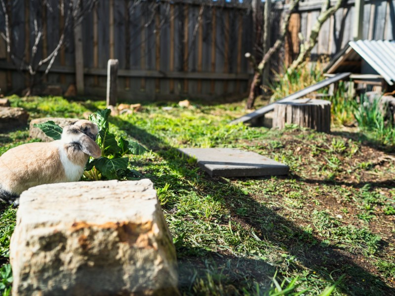 26 Albert Street, Fingal TAS 7214