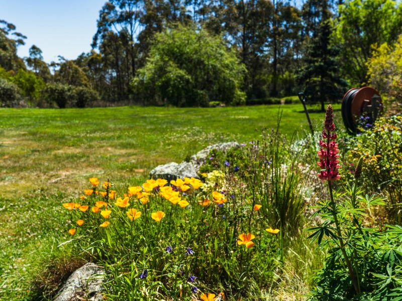 75 Dalmayne Road, Gray TAS 7215