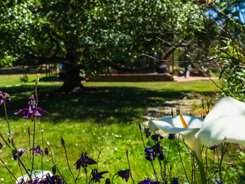 75 Dalmayne Road, Gray TAS 7215