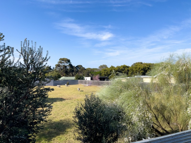 191 Scamander Avenue, Scamander TAS 7215